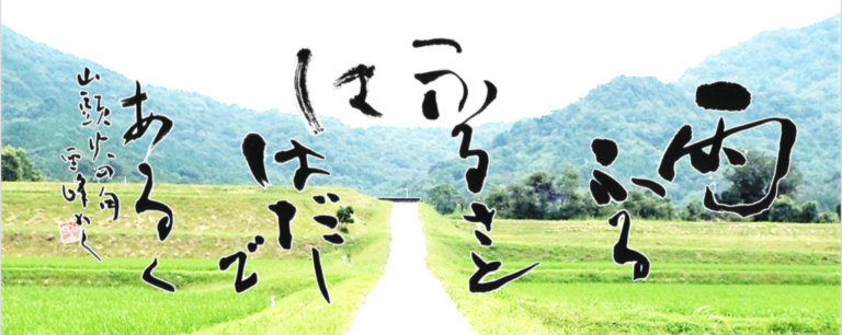 2026年8月