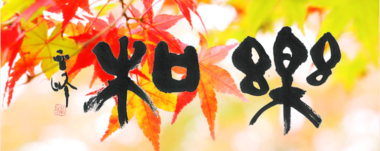 2026年11月