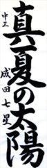 日本教育書道会会長賞　成田　七星
